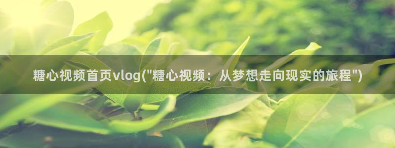 糖心新品vlog:糖心視頻首頁vlog(